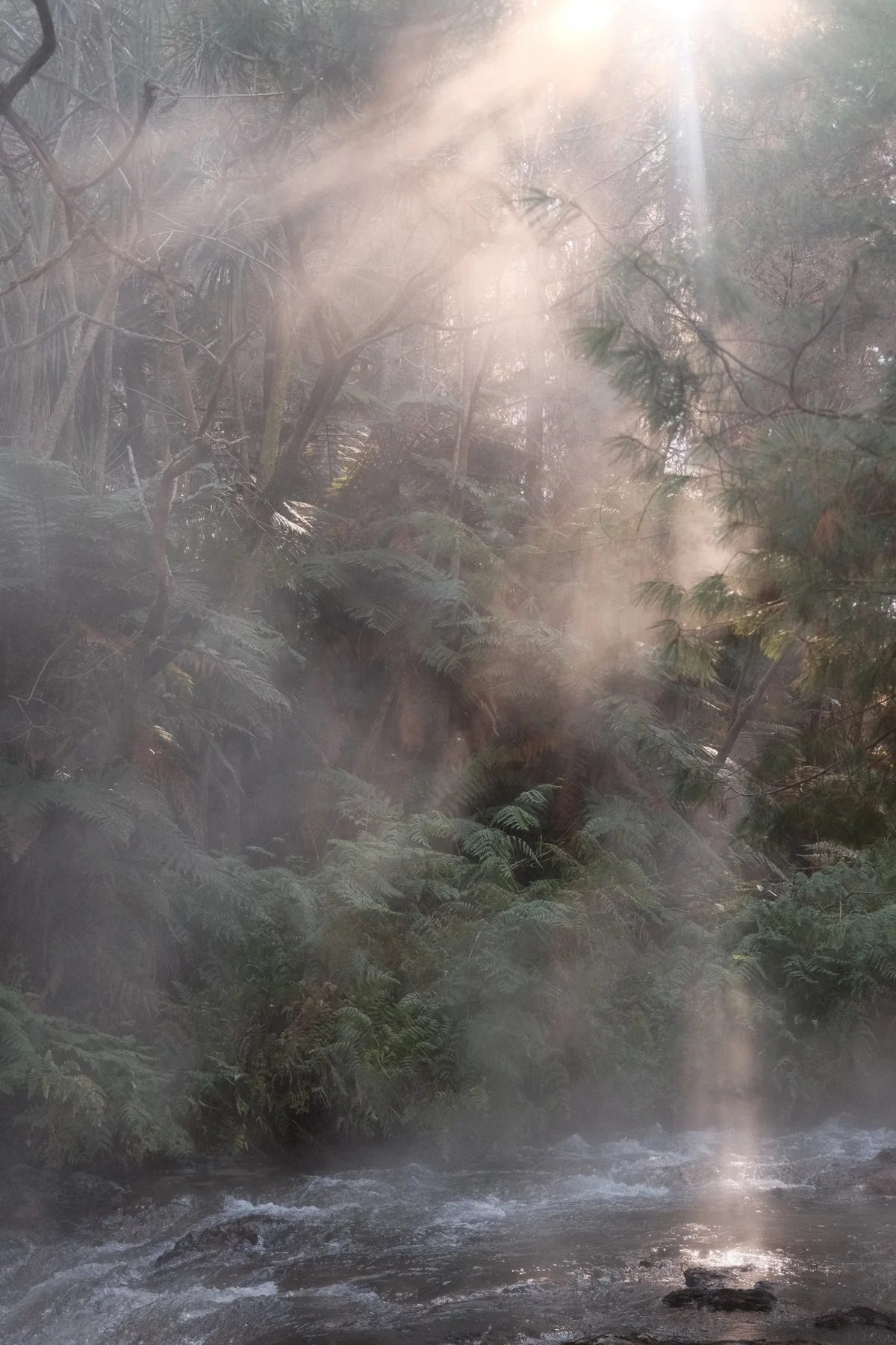Photograph from Landscapes by Aaron Francesco Zeiss
