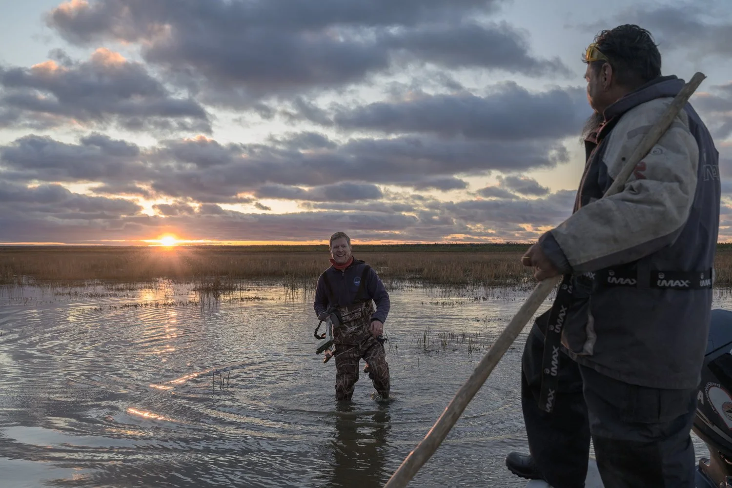 Photograph from Search for the Yellow Rail by Aaron Francesco Zeiss