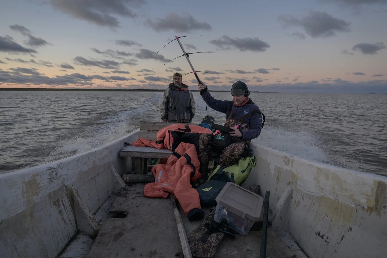 Photograph from Search for the Yellow Rail by Aaron Francesco Zeiss