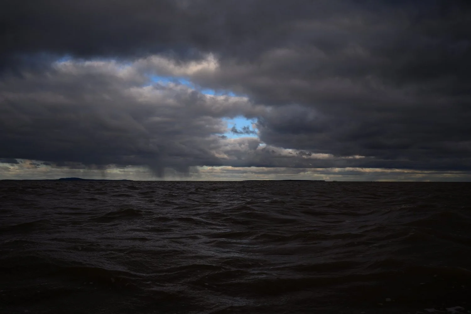 Photograph from Search for the Yellow Rail by Aaron Francesco Zeiss